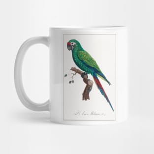 Military Macaw (1801—1805) Mug